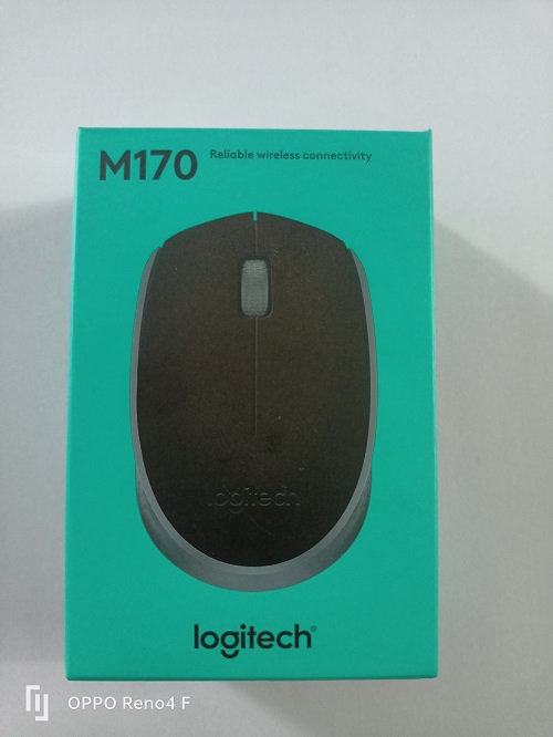 Mouse Logitech m170